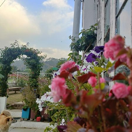 Mohraj Home Stay Bhowali Exteriör bild