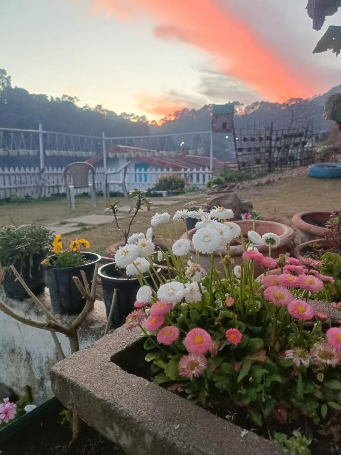 Mohraj Home Stay Bhowali Exteriör bild