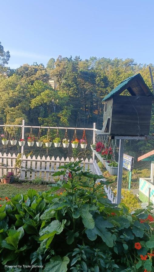 Mohraj Home Stay Bhowali Exteriör bild