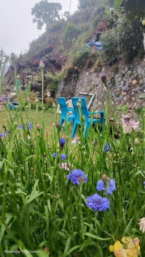 Mohraj Home Stay Bhowali Exteriör bild