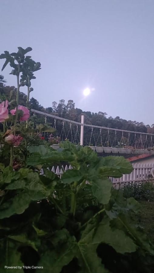 Mohraj Home Stay Bhowali Exteriör bild