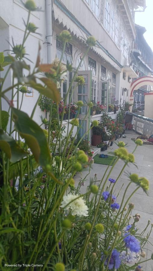 Mohraj Home Stay Bhowali Exteriör bild