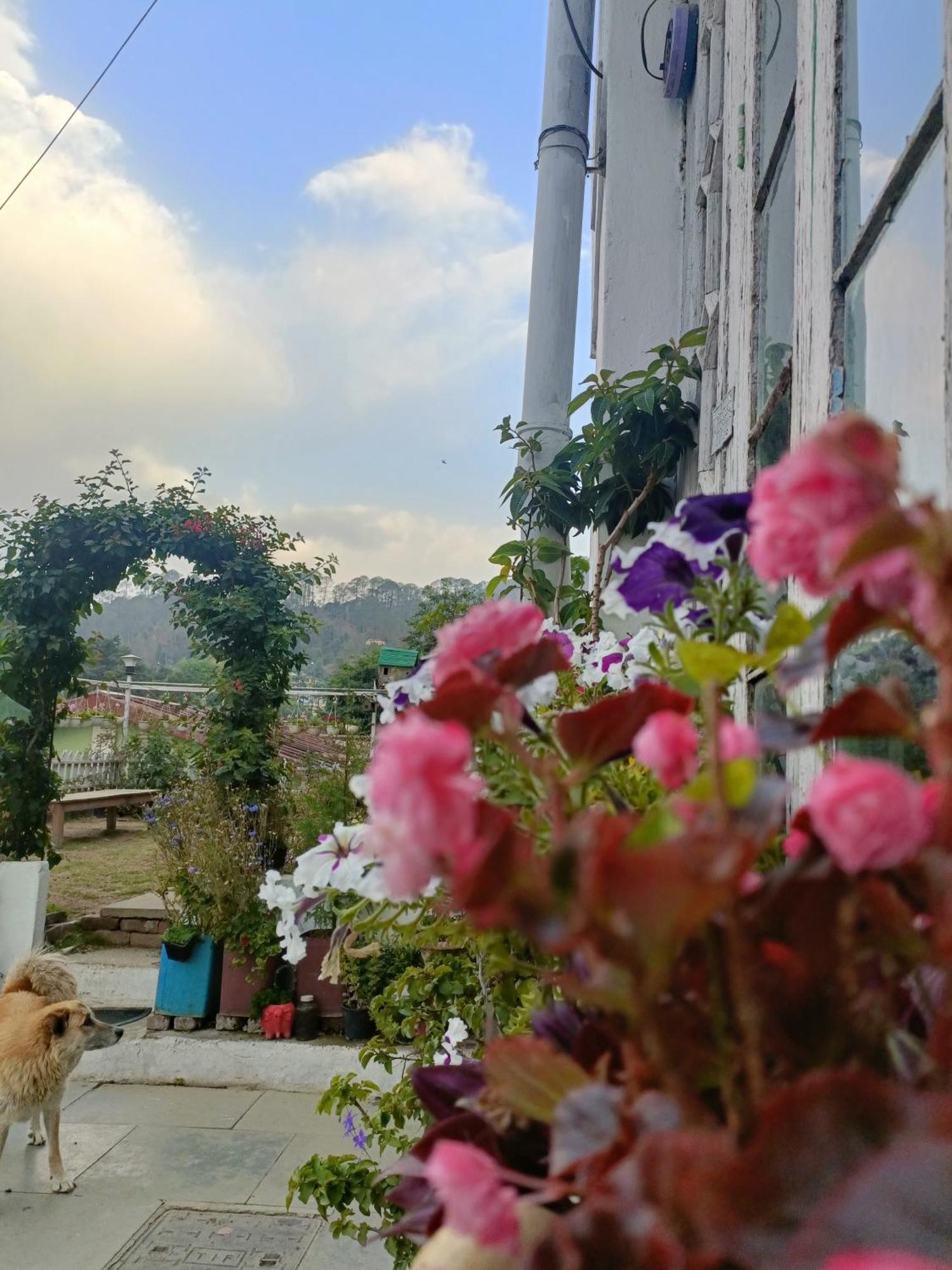 Mohraj Home Stay Bhowali Exteriör bild